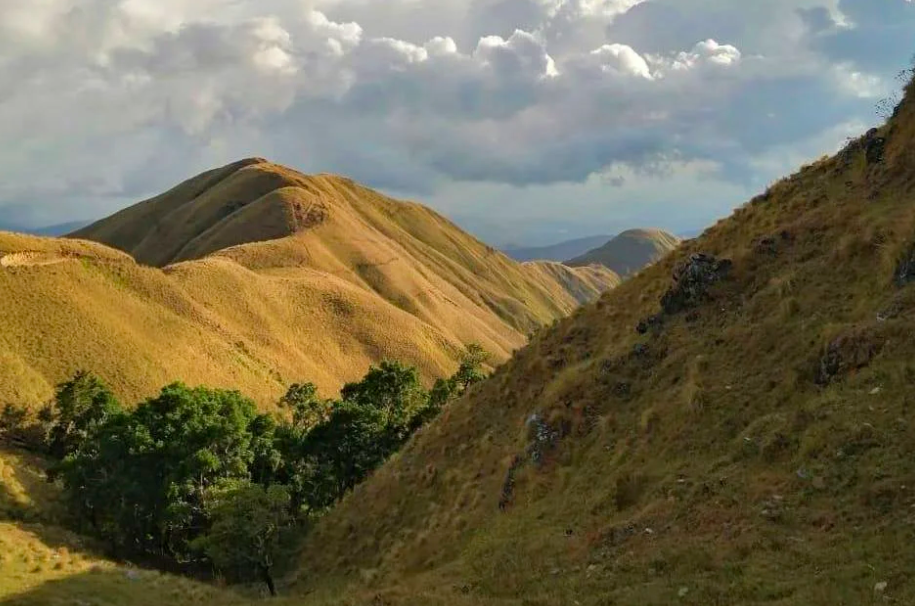 La Amistad International Park, Border with Costa Rica, Panama
